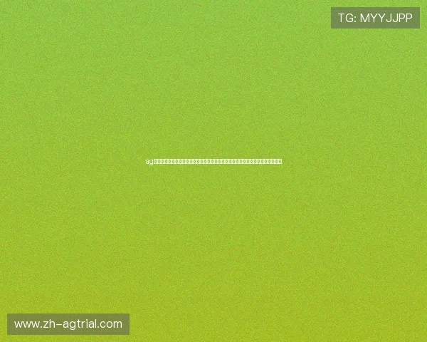 ag九游登录大厅优惠活动开启世界杯期间专属优惠，助力用户畅享精彩赛事竞猜乐趣
